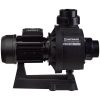 Pompa do basenu Hayward HCP10303E3 KA300 T1.B. IE3 (380 V, 48 m3/h, 3 KM) - obrazek 2