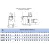 Pompa do basenu Hayward HCP62153E7 (380V, 221 m3/h, 15 KM) - obrazek 2