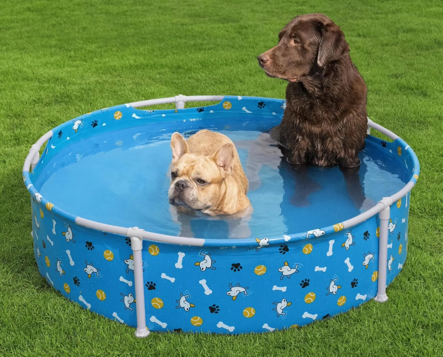 Basen stelażowy dla psów Bestway 561KM (122х30.5 cm) - obrazek 2